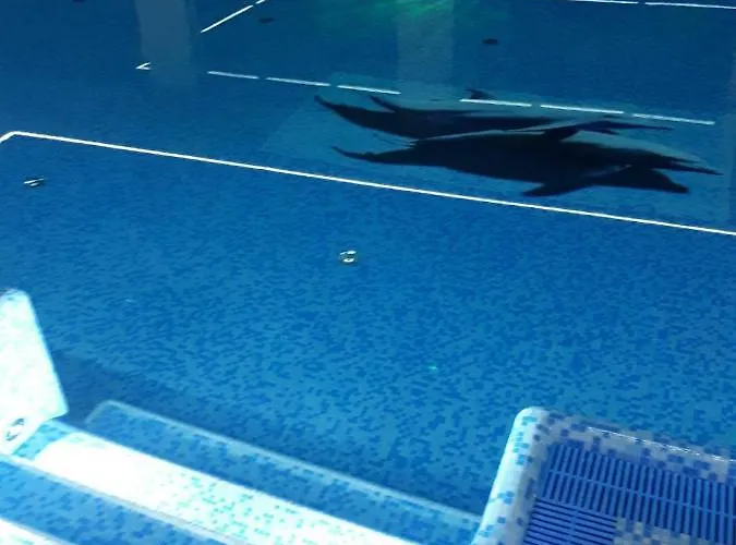 B&B Tasarz Osrodek Wczasowy 레왈