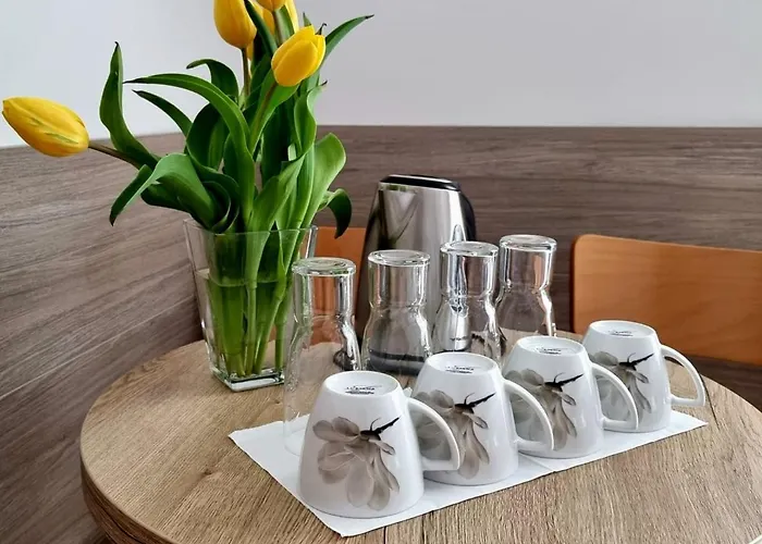 Tasarz Osrodek Wczasowy B&B 3*